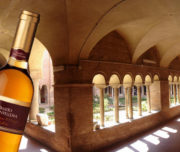 Degustazione vini antichi in un sito archeologico per eventi privati